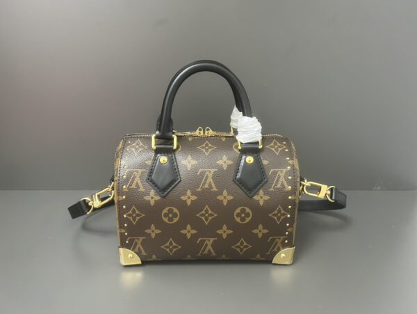 LOUIS VUITTON PETITE MALLE SOUPLE - Image 2